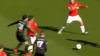 的稳定性 的稳定性