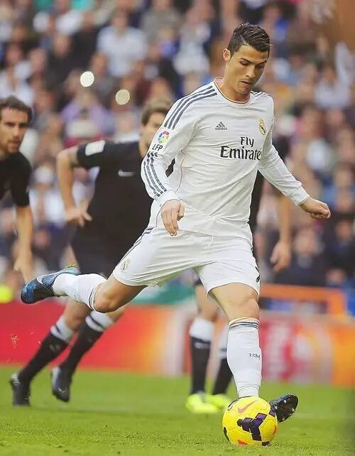 贝兹利的特 贝兹利的特